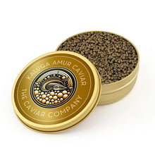 Load image into Gallery viewer, Deluxe Kaluga Amur